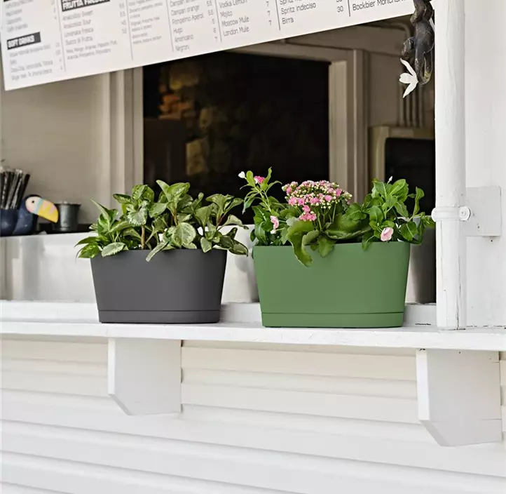 Blumenkasten Vega inkl. Untersetzer