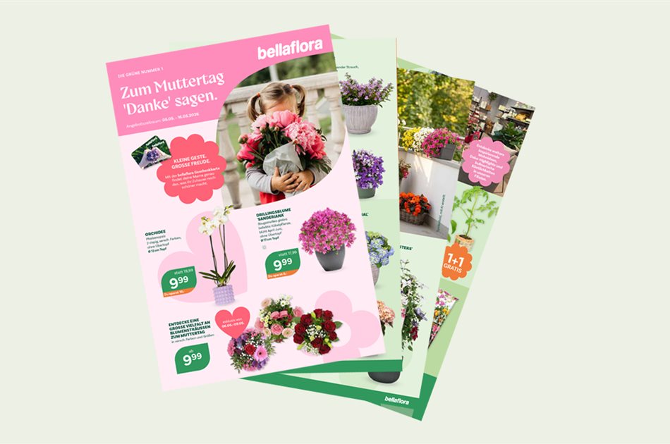 Top-Angebote bei bellaflora!