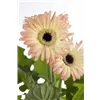 bellaflora Gartencenter GmbH
