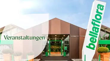 Veranstaltungen Ad.png