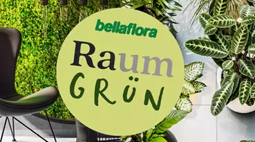 Raumgrün Ad.png