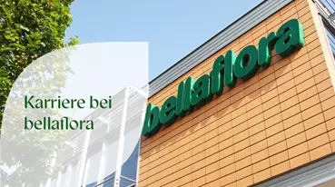Karriere Ad.png