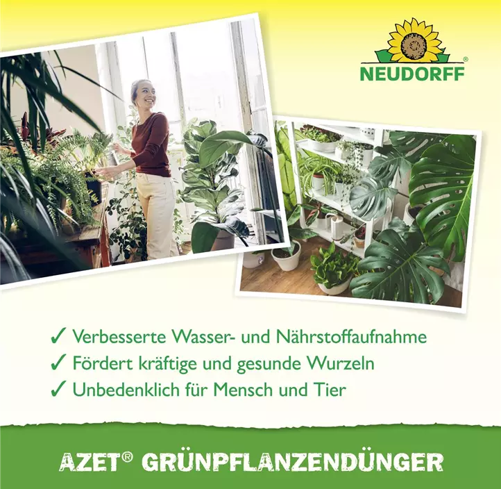 Azet GrünpflanzenDünger flüssig