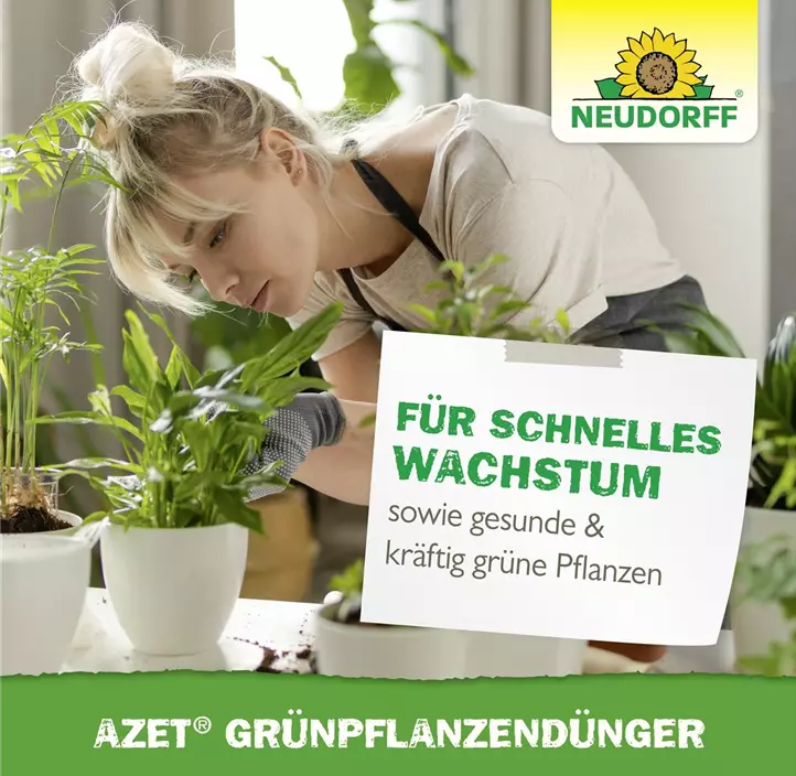 Azet GrünpflanzenDünger flüssig