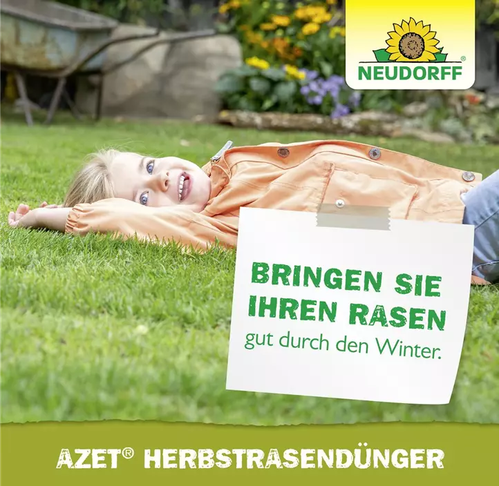 Azet Herbst Rasendünger, 10 kg