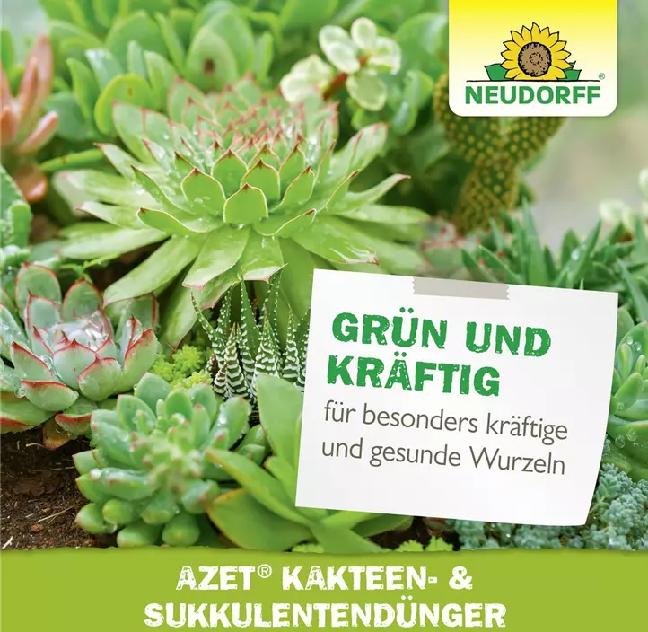 Azet Kakteen- & Sukkulenten Dünger flüssig