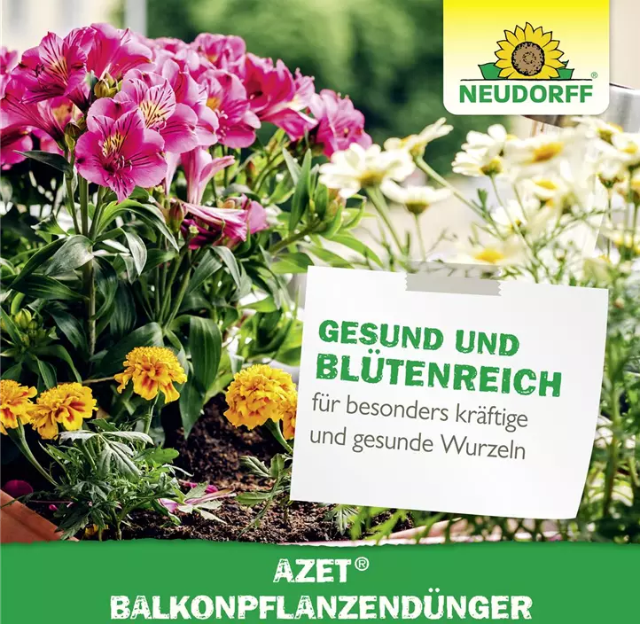 Azet Balkonpflanzendünger