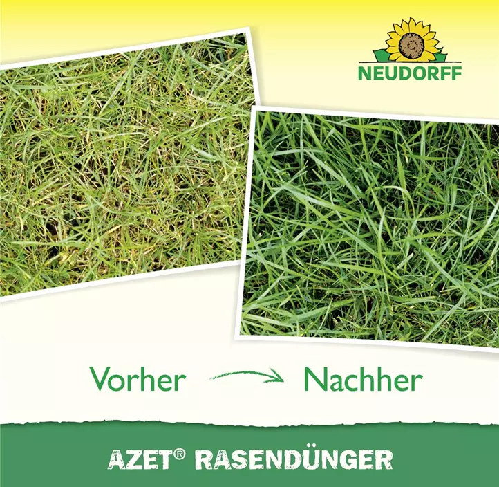 Azet Rasendünger 2,5 kg