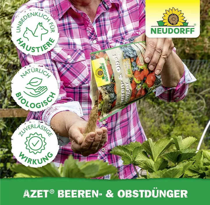 Azet Beeren- & ObstDünger