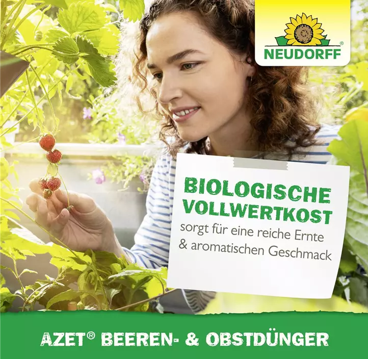 Azet Beeren- & ObstDünger
