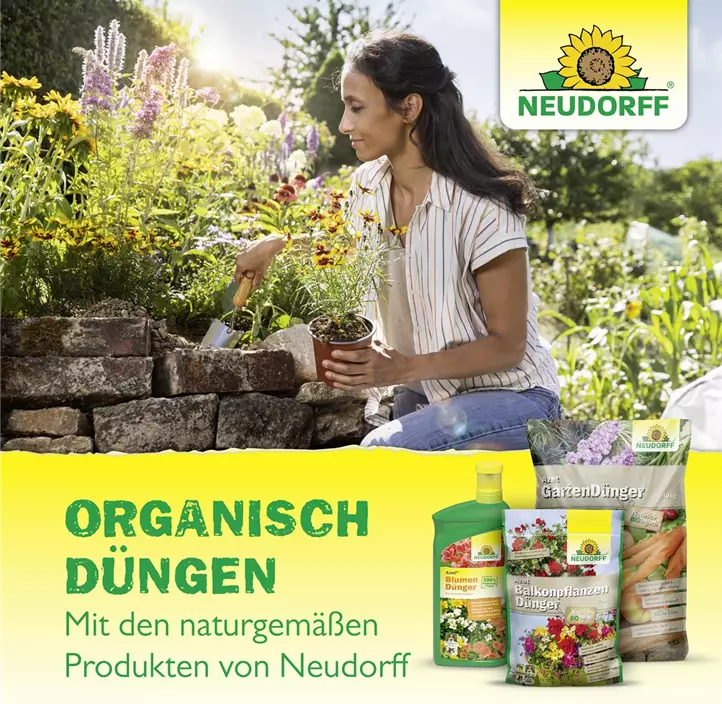Azet Beeren- & ObstDünger