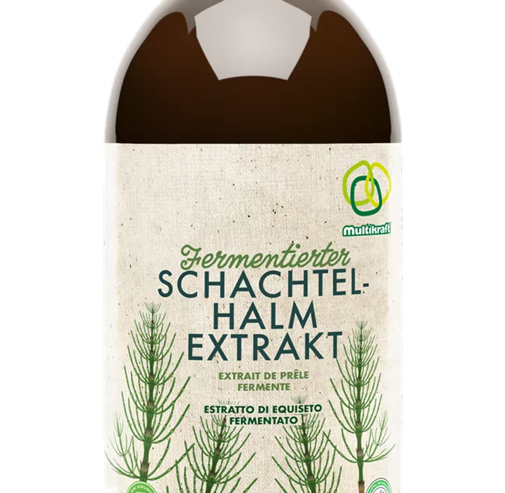 Fermentierter Schachtelhalmextrakt