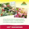 bellaflora Gartencenter GmbH