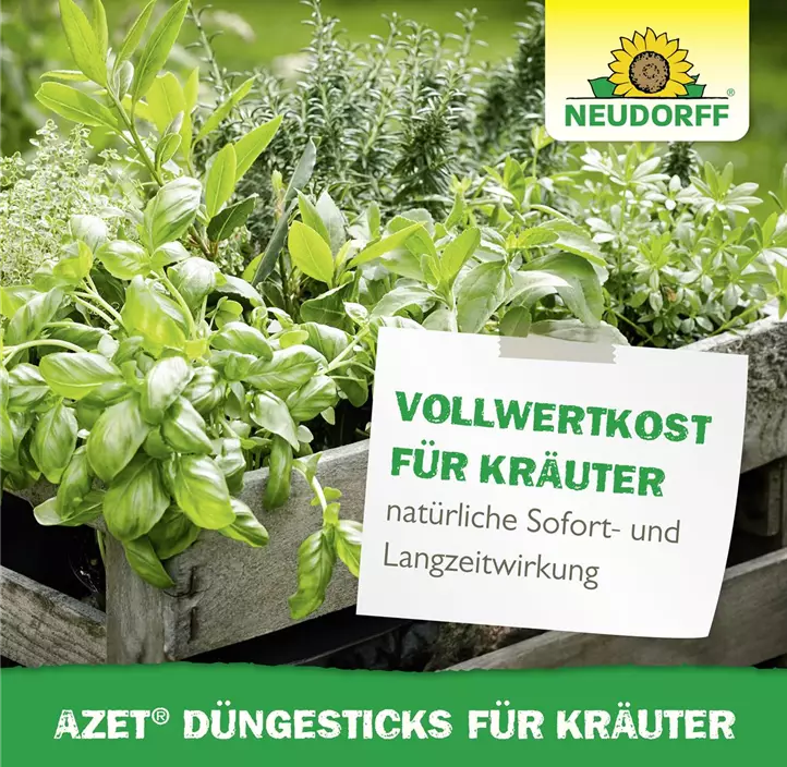 Azet Düngesticks für Kräuter