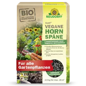 Azet Vegane Hornspäne