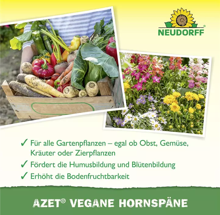 Azet Vegane Hornspäne