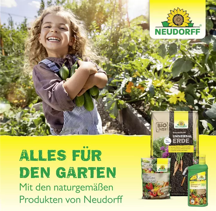 Azet Vegane Hornspäne