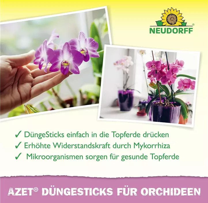 Azet Düngesticks für Orchideen
