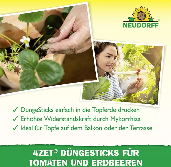 Azet Düngesticks für Tomaten und Erdbeeren