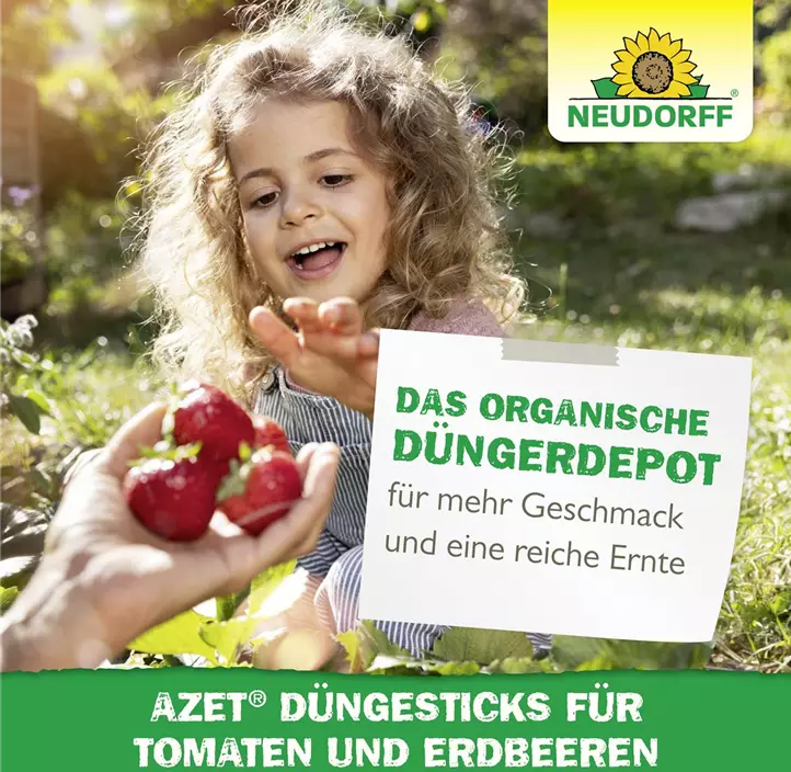 Azet Düngesticks für Tomaten und Erdbeeren