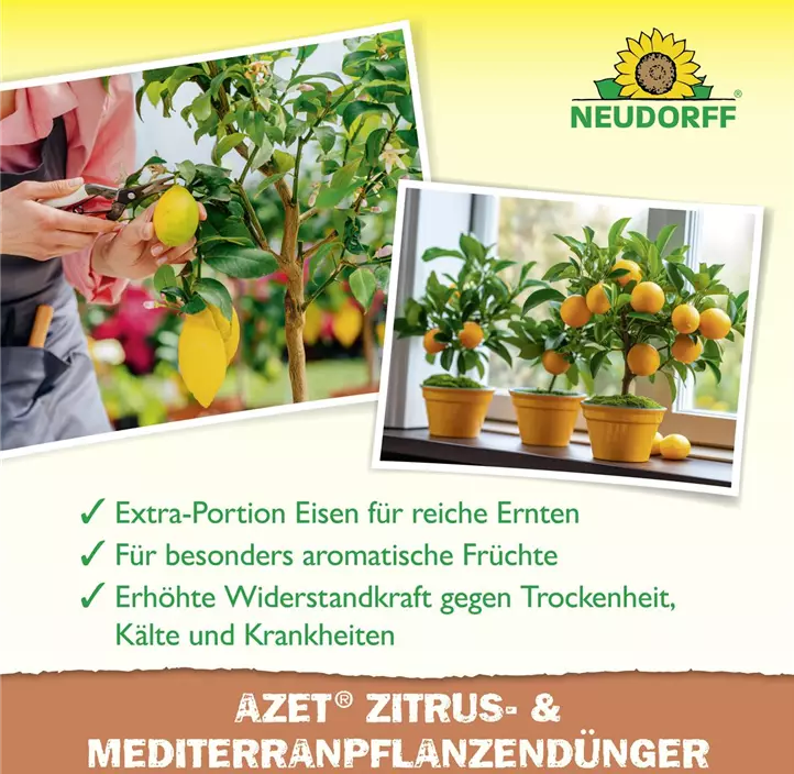 Azet Zitrusdünger (Neud.)