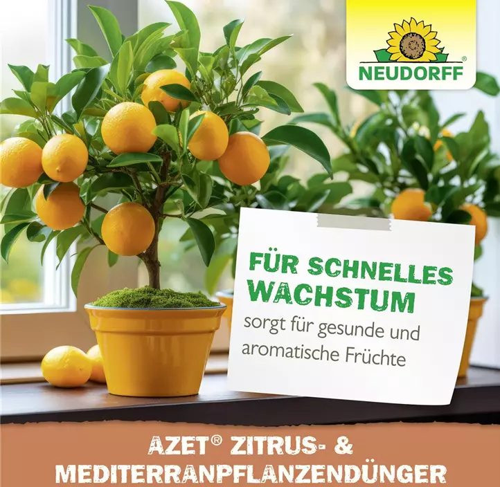 Azet Zitrusdünger (Neud.)