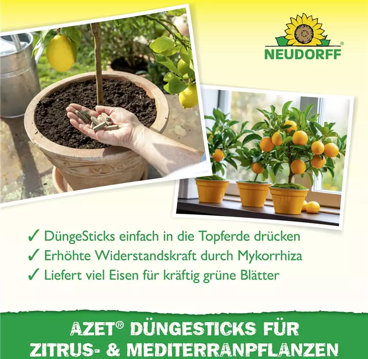 Azet Düngesticks für Zitrus- und Mediterranpflanzen