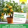 bellaflora Gartencenter GmbH