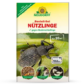 Bestell-Set Nützlinge 20 m²