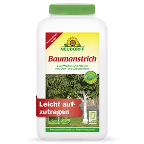 Baumanstrich