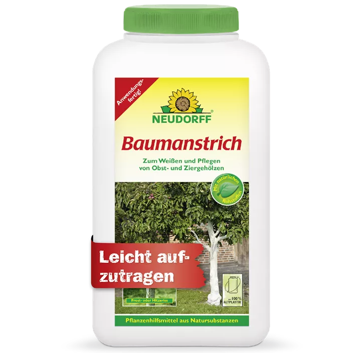 Baumanstrich