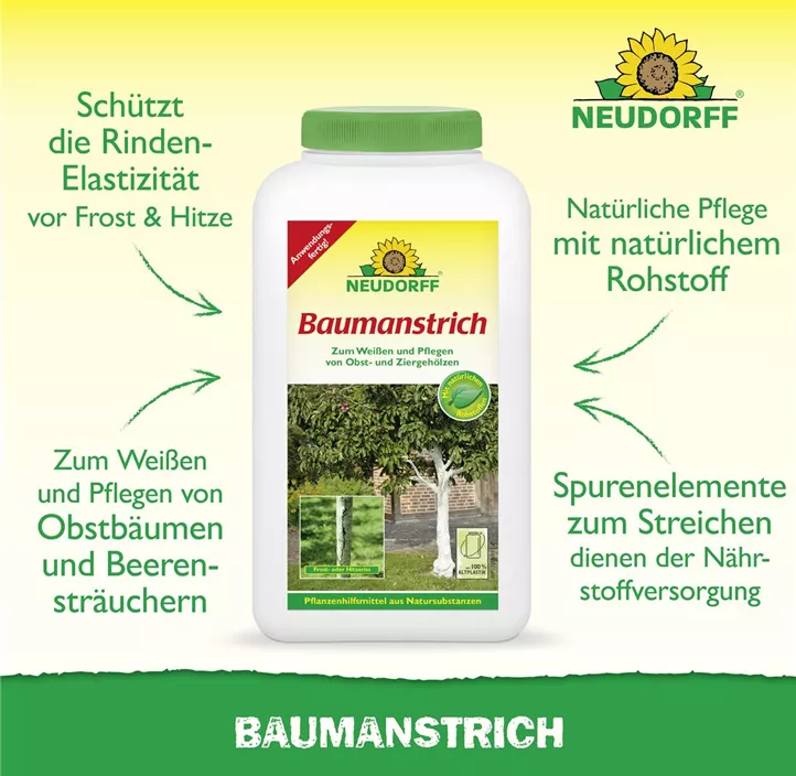 Baumanstrich