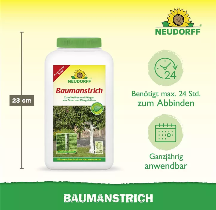 Baumanstrich