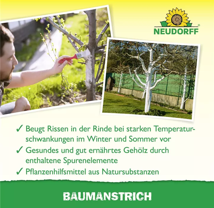 Baumanstrich