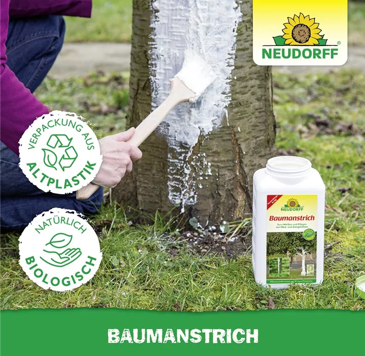 Baumanstrich