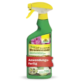 BioKraft Grundstoff Brennnessel