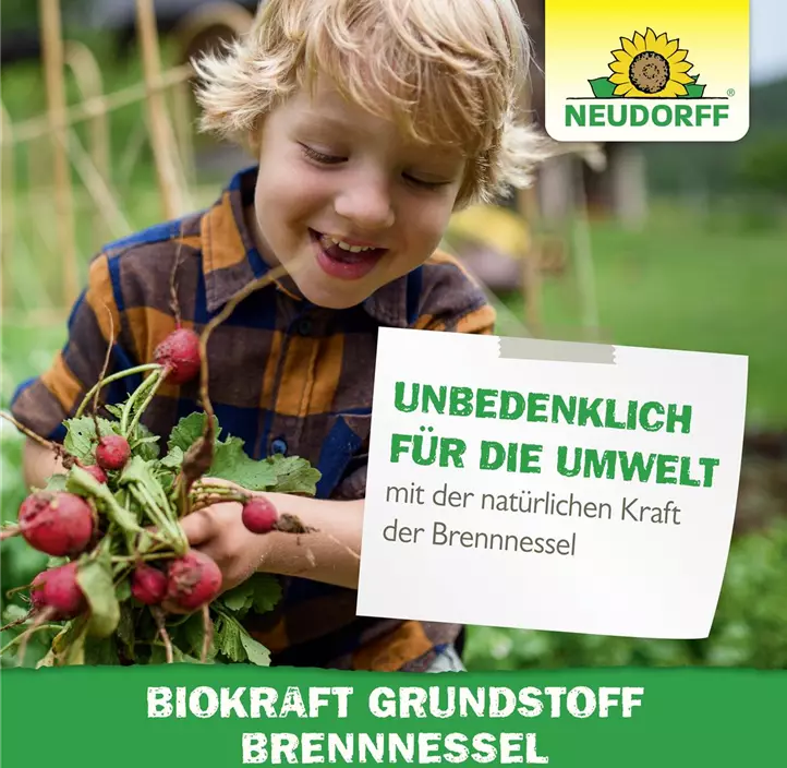 BioKraft Grundstoff Brennnessel
