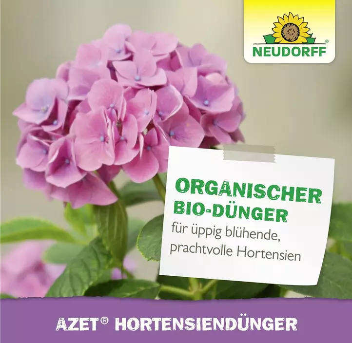 Azet HortensienDünger flüssig