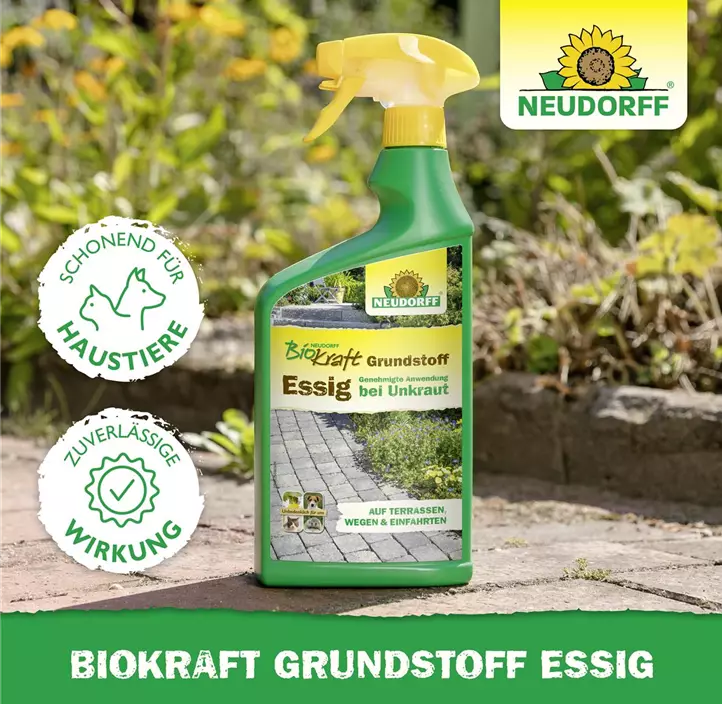 BioKraft Grundstoff Essig