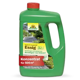 BioKraft Grundstoff Essig