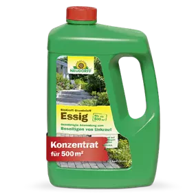 BioKraft Grundstoff Essig