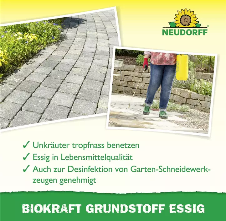 BioKraft Grundstoff Essig