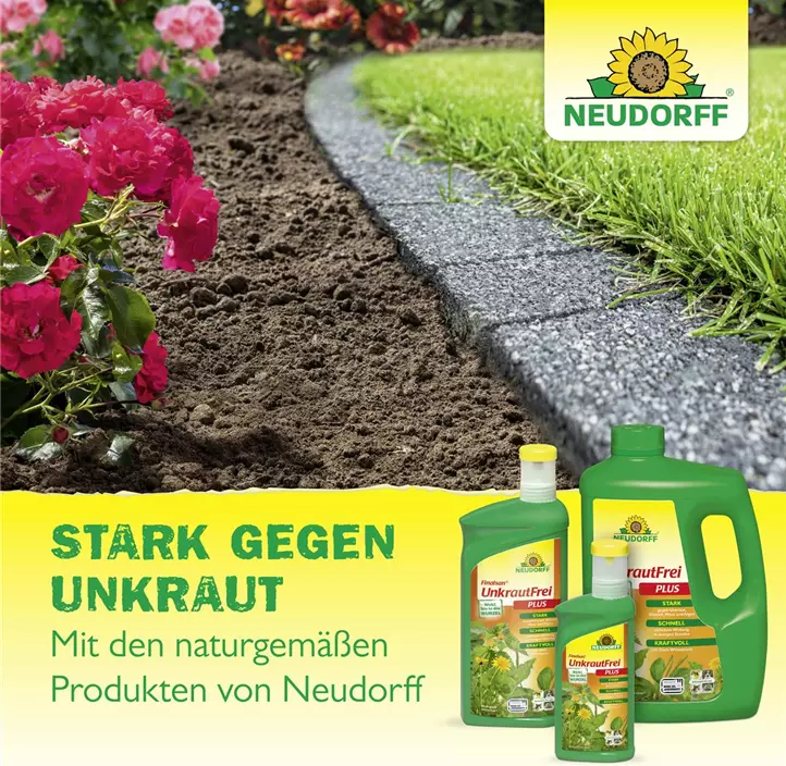BioKraft Grundstoff Essig