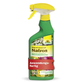 BioKraft Grundstoff Natron