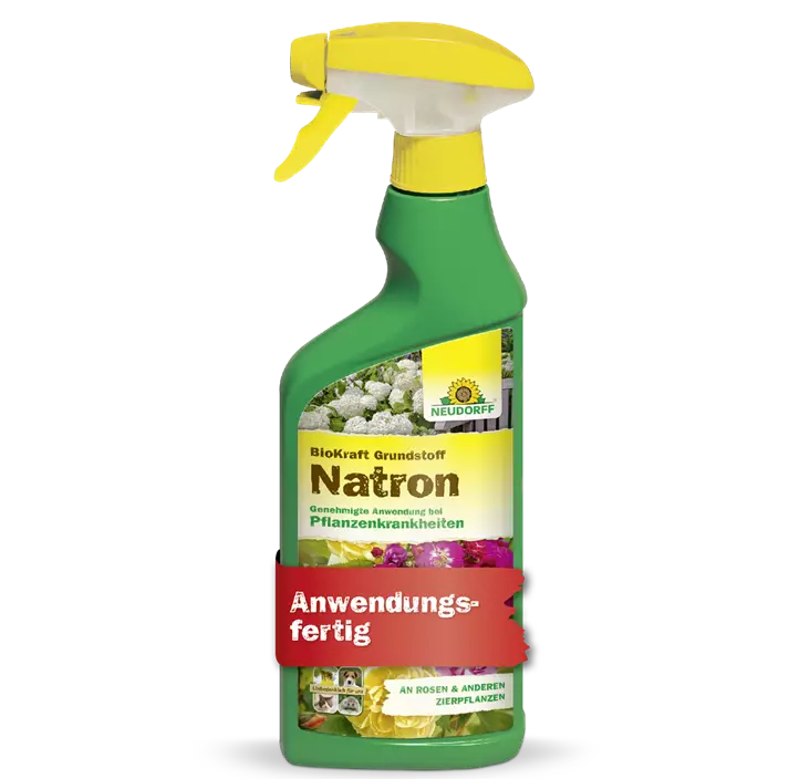 BioKraft Grundstoff Natron