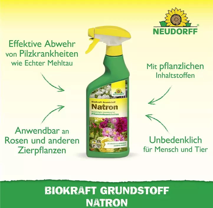 BioKraft Grundstoff Natron