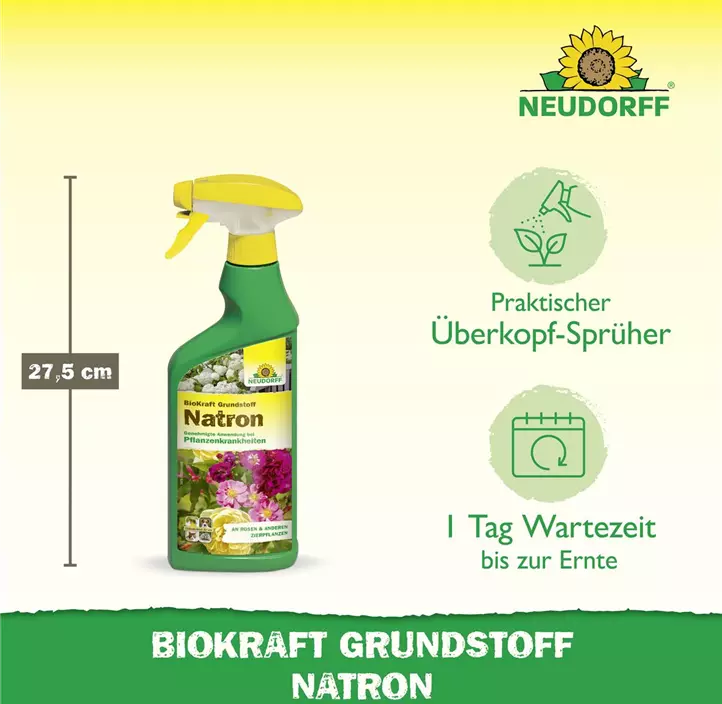 BioKraft Grundstoff Natron
