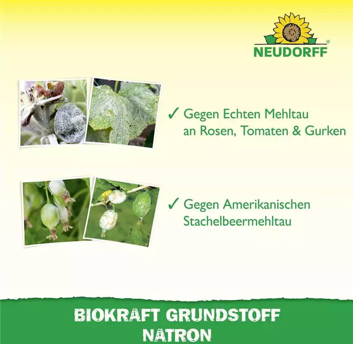 BioKraft Grundstoff Natron