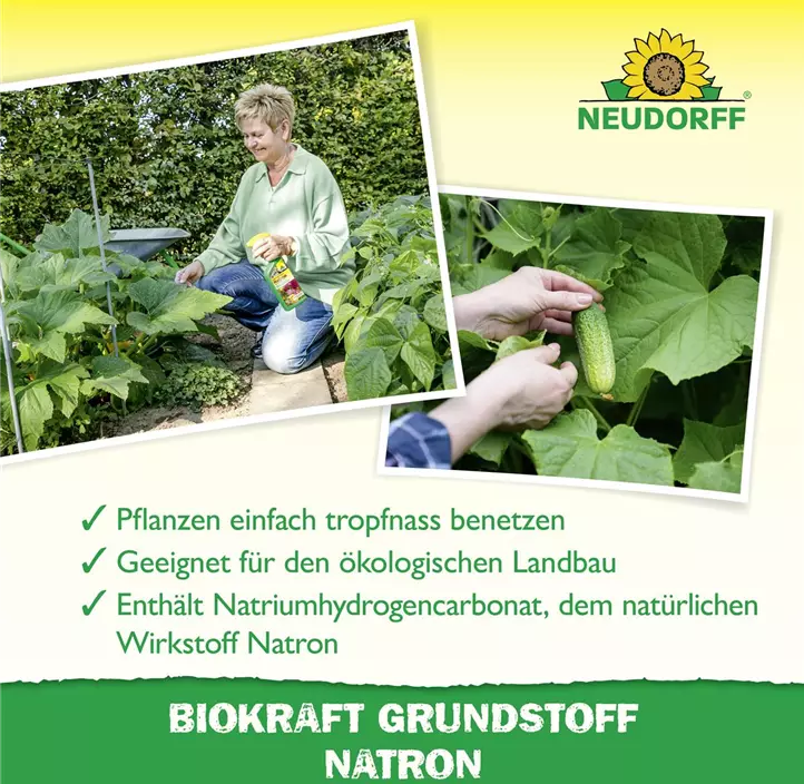 BioKraft Grundstoff Natron