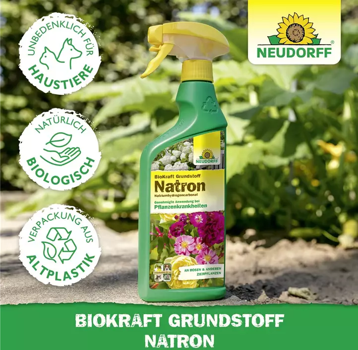 BioKraft Grundstoff Natron